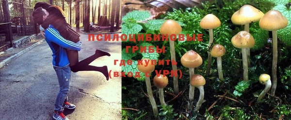 гашишное масло Балахна